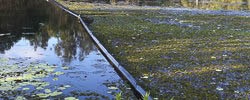 photo.JPG.ashx_1