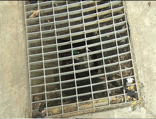 drain warden before replacement Drain Warden in stormwater pit before replacement